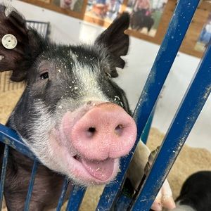 Meet your Posher, Cathy